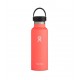 Hydro Flask Standard Mouth 0.5L Ροδακινί