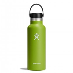 Hydro Flask Standard Mouth 0.5L Πράσινο