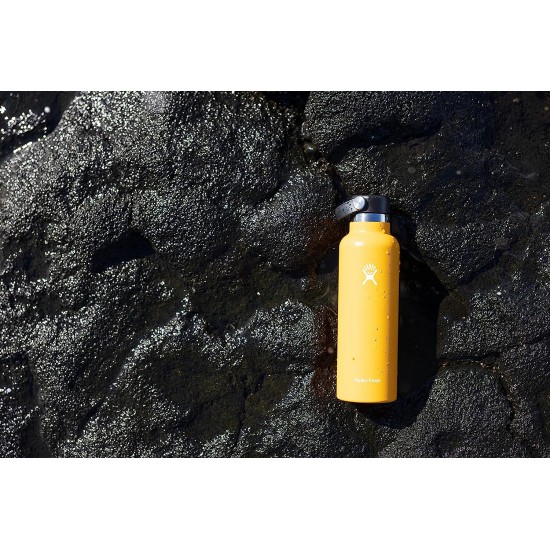 Hydro Flask Standard Flex Cap 0.6L Μπλε