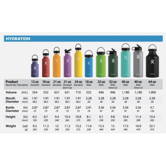 Hydro Flask Standard Flex Cap 0.6L Μπλε