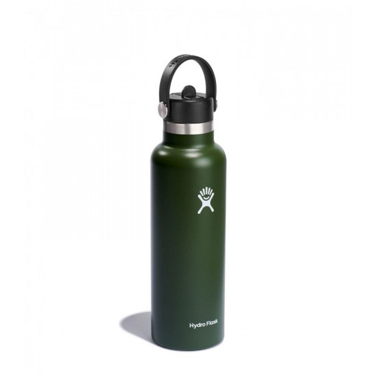 Hydro Flask Standard Mouth with Flex Straw Cap 0.6L Πράσινο